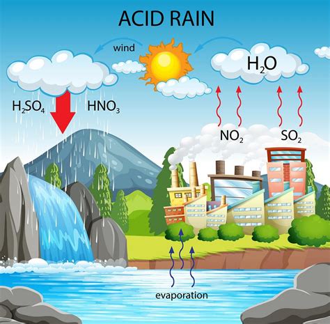 What Causes Acid Rain Short Answer